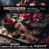 Himalayan Rhododendron, Rhododendron Arboreum, Herbal Tea, Burans, Chai, Buransh, Rhododendron Tea